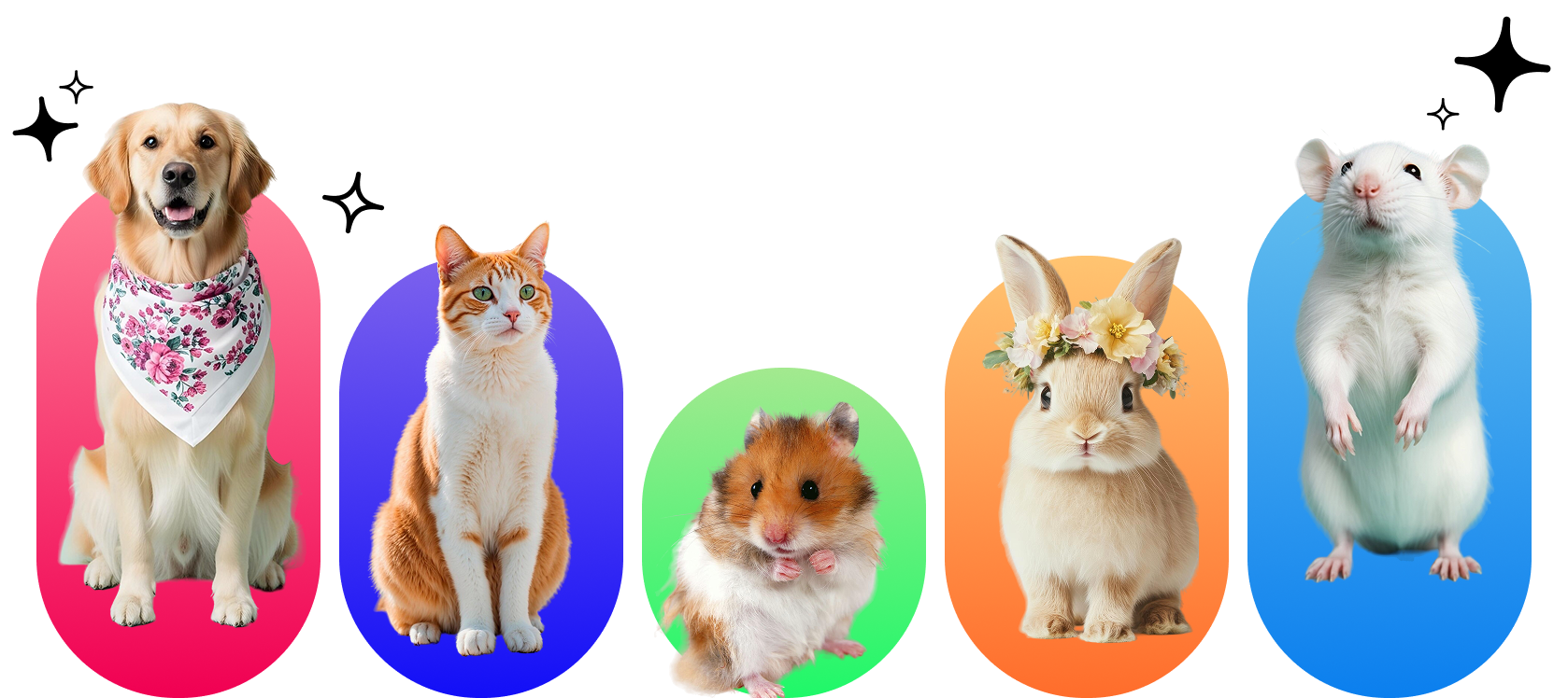 Dog, cat, hamster, rabbit and mouse in colorful capsules