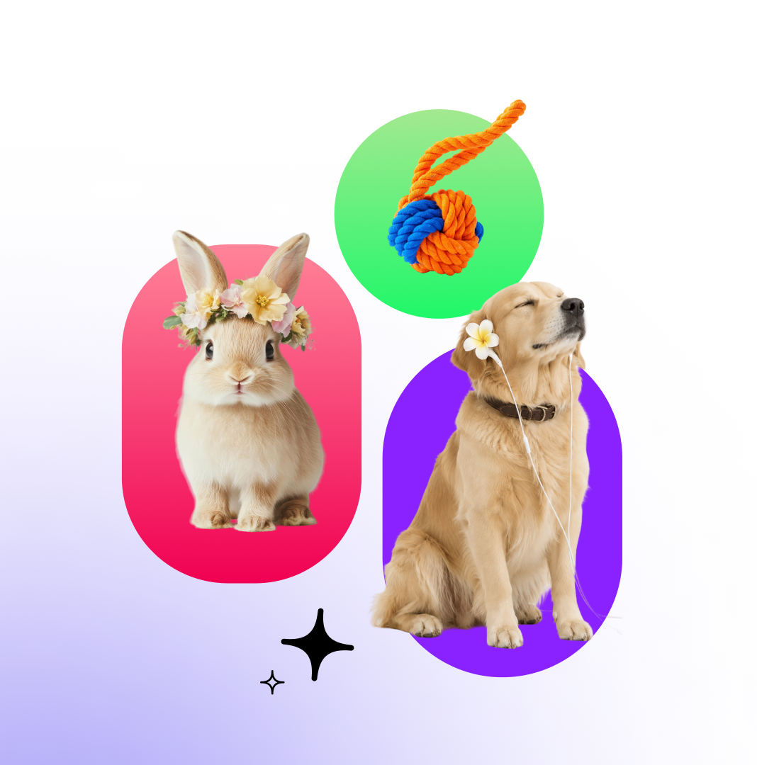 Rabbit and dog with toys