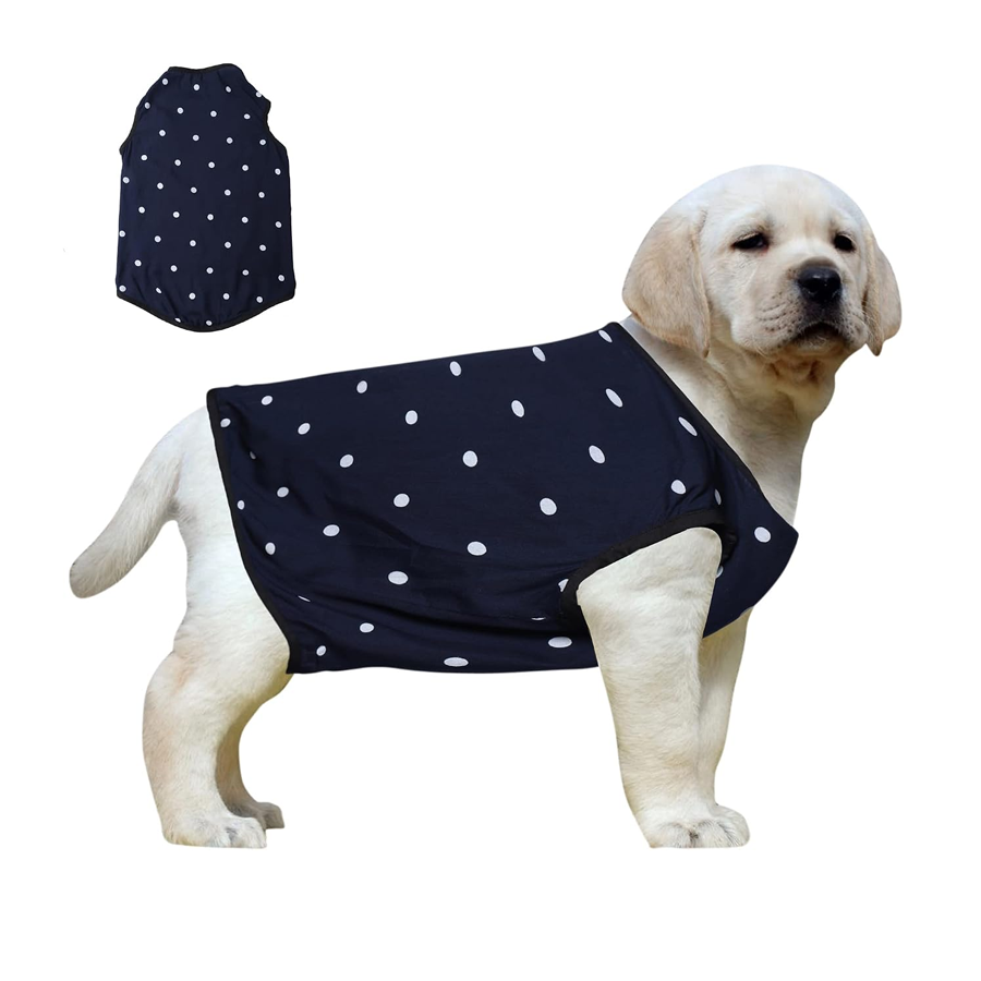 Polished Care Fetch Fresh Living Carrier
