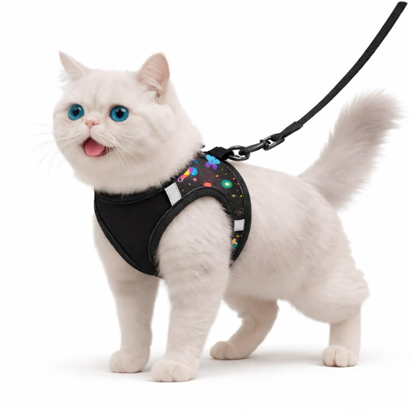Carrier Mischief Care Premium Modern Companion