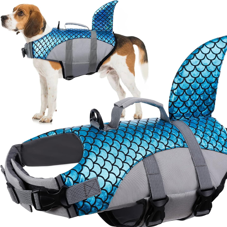 Calm Modern Carrier Care Outdoor Edit