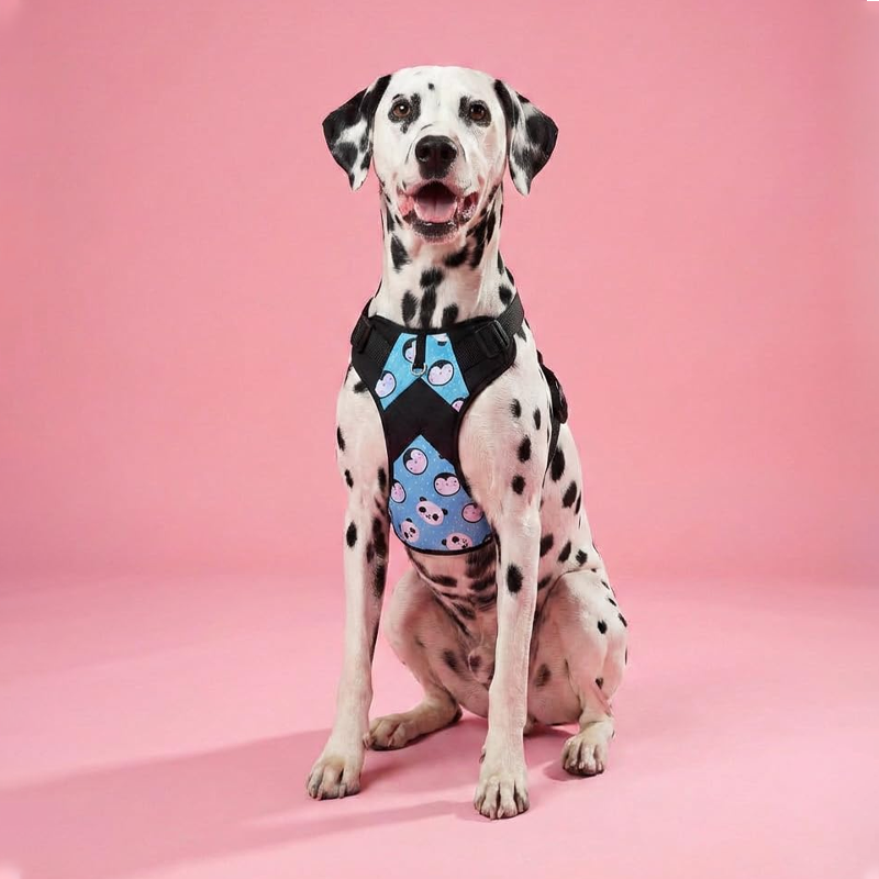 Bright Care Fetch Quiet Luxury Carrier