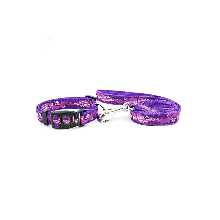 Purple Nylon Collar Leash Set
