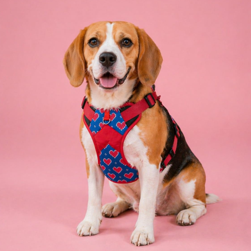 Comfort Pawprint Wellness Velvet Playtime Series