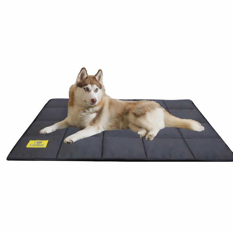 Foldable Waterproof Durable Pet Rest Mat