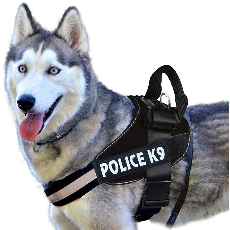 Bark Durable Pet Studio Active Line