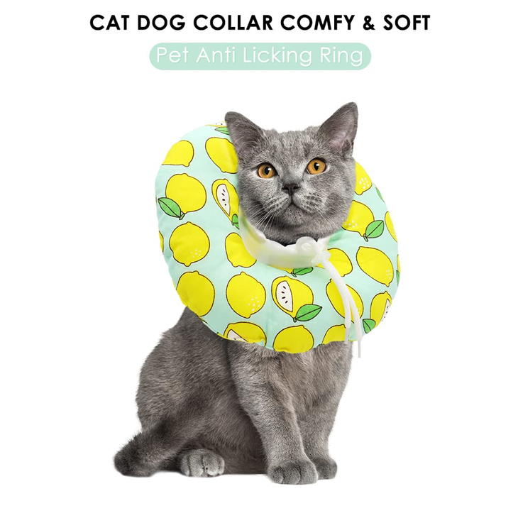 Soft Green Recovery Cat Collar