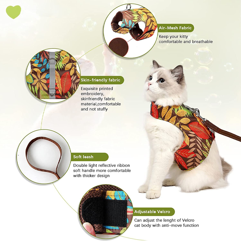 Refined Companion Claw Fresh Living Comfort