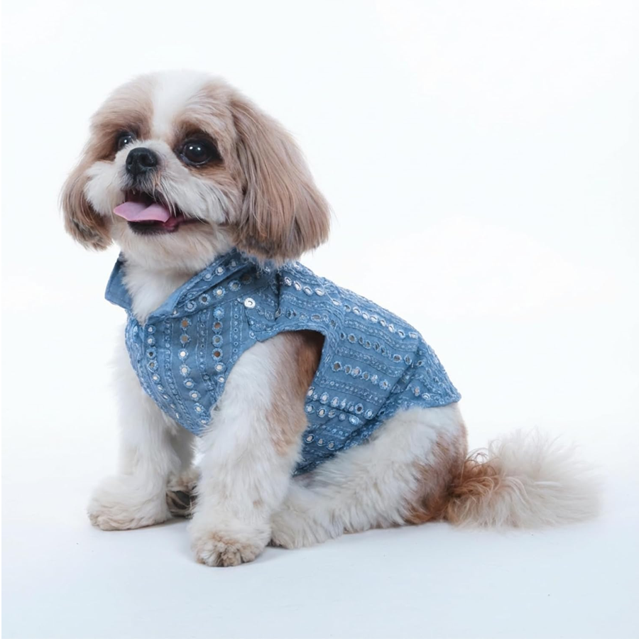 Pet Bark Lively Studio Signature Range
