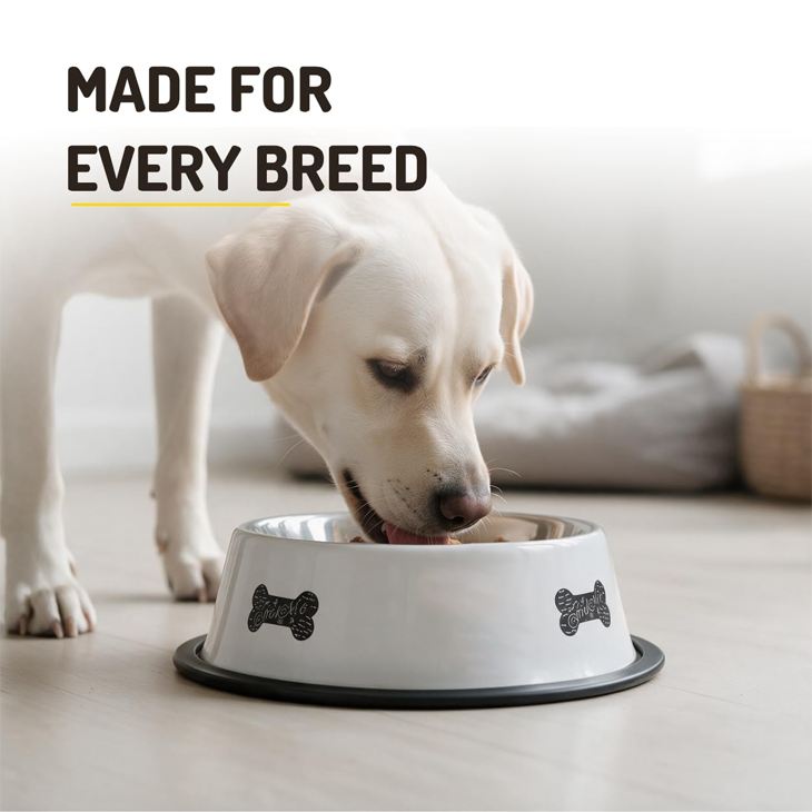 Stainless Steel Anti Tip Dog Bowl