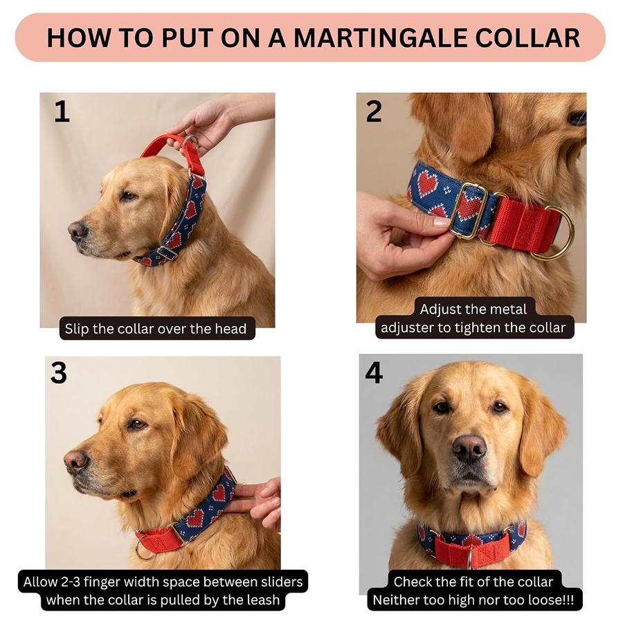 Comfort Canine Companion Refined Daily Edition