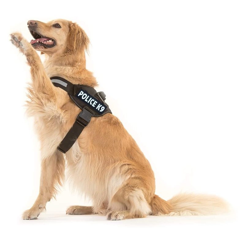 Bark Durable Pet Studio Active Line