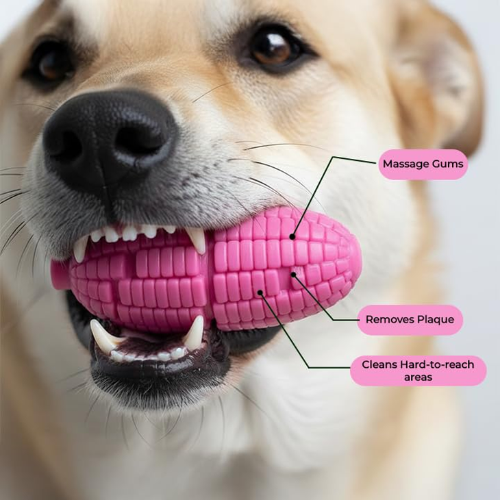 Corn Shaped Dental Chew Toy