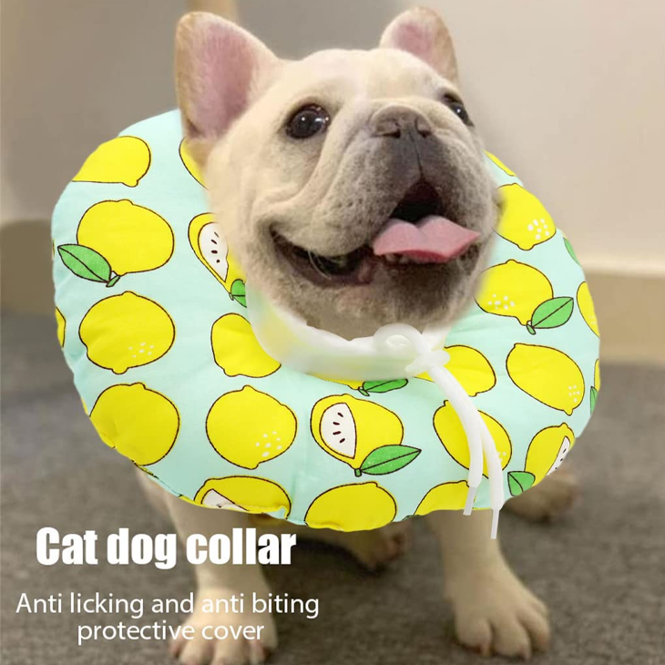 Soft Green Recovery Cat Collar