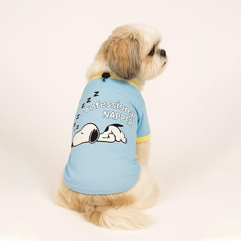 Comfort Pawprint Wellness Fresh Modern Companion