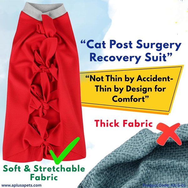 Wellness Edition Cuddle Playful Home Set