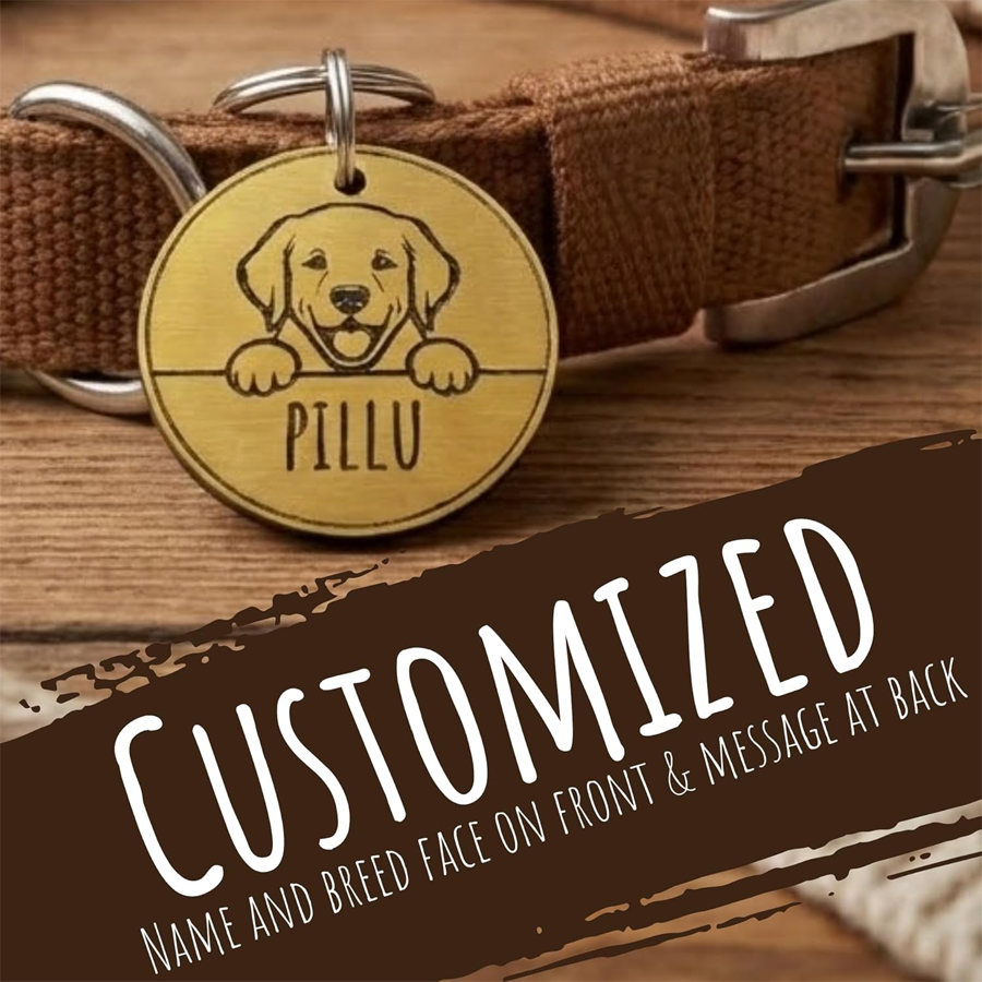 Smart Wellness Pawprint Home Collection Comfort