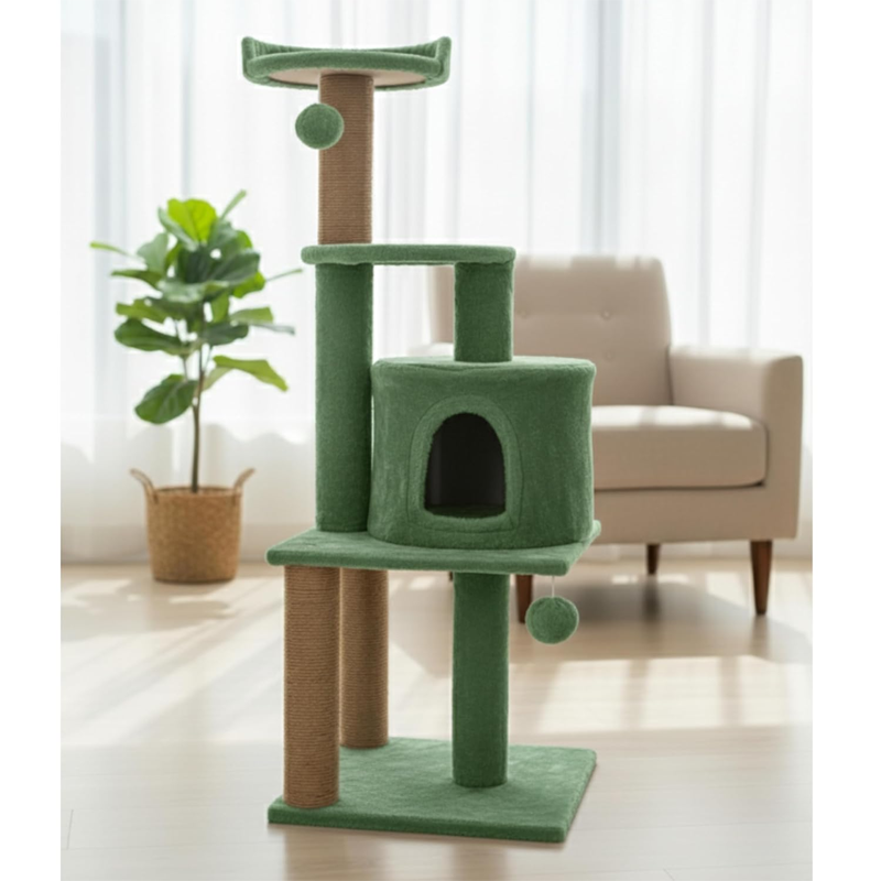 Luna Lively Lifestyle Studio Modern Companion
