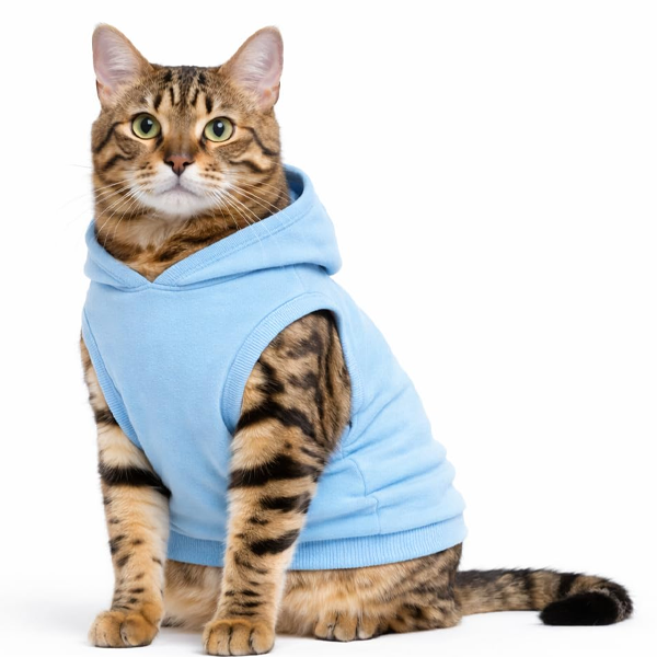 Premium Pounce Carrier Living Travel Series