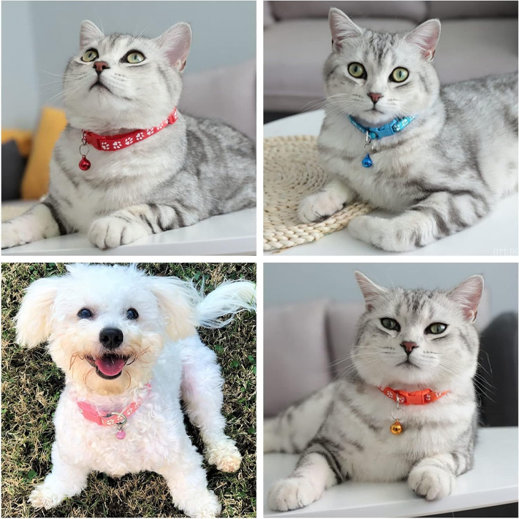 Pawprint Bell Breakaway Cat Collar