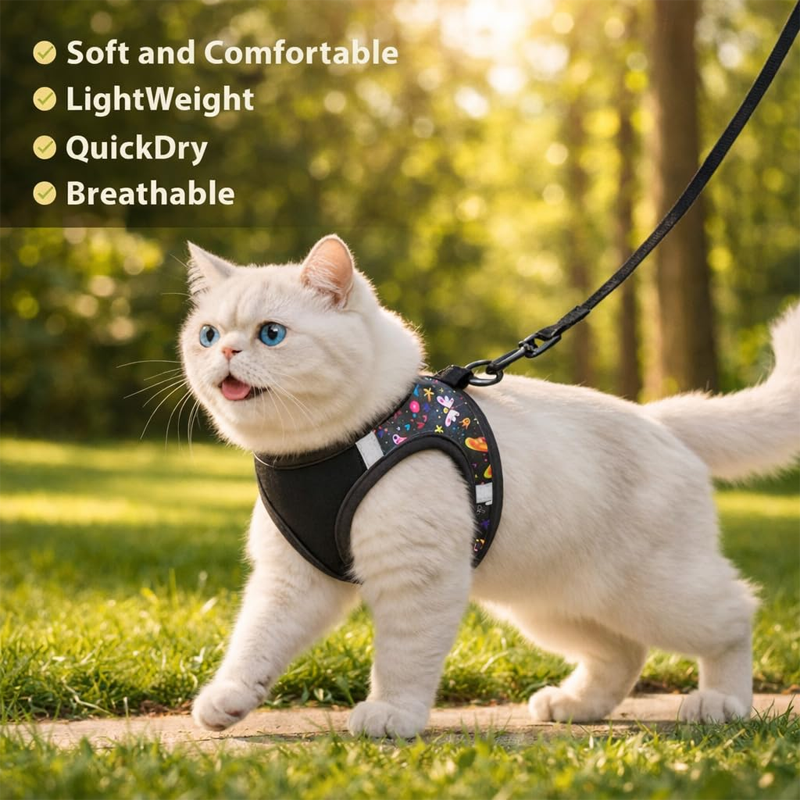 Carrier Mischief Care Premium Modern Companion
