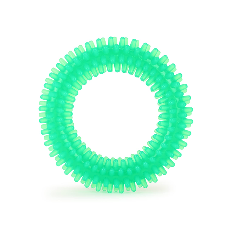 Spiked Ring Dental Chew Toy