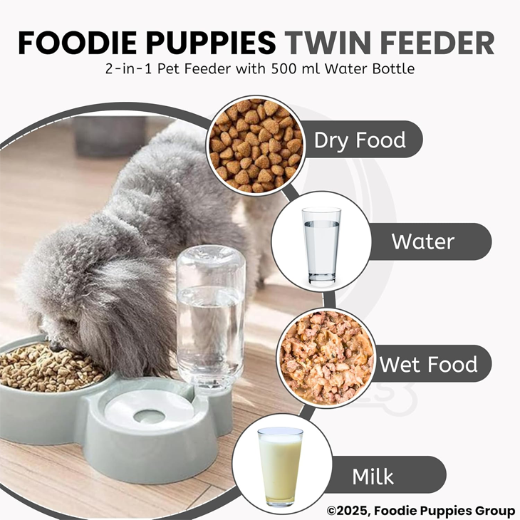 Automatic Water Dispenser Pet Bowl