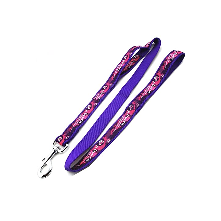 Purple Nylon Collar Leash Set