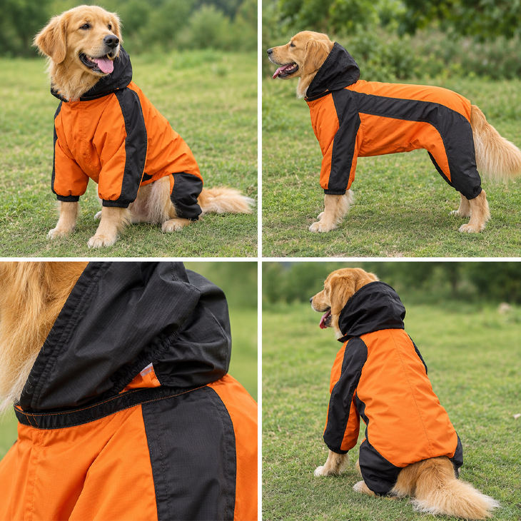 Refined Happy Comfort Companion Wellness Edition