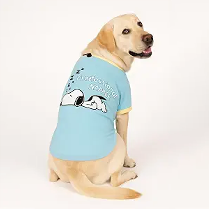 Comfort Pawprint Wellness Fresh Modern Companion